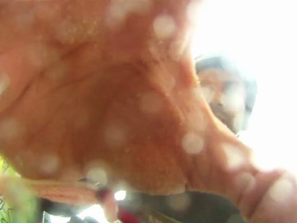 berck gopro kite mount