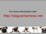 Dog Car Harness - Made you and your dog have safety driving