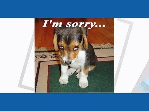 Carpet Cleaning Danville