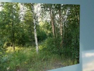 Commercial Property Anchorage Alaska