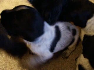 LES BEBES LE 8 AVRIL 2012