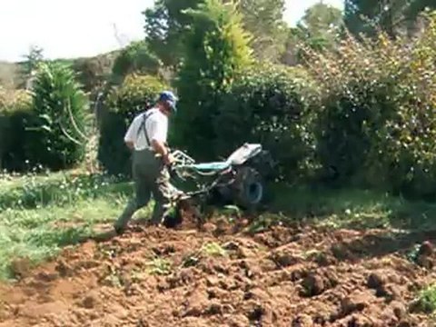 labour braban staub 9500