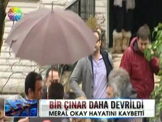 Bir çınar daha devrildi - 09 nisan 2012