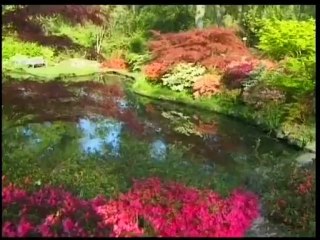 PEYGAMBER EFENDİMİZ(SAV) ÇOK GÜLER YÜZLÜYDÜ