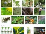 Safe Pest Control for Your Organic Garden