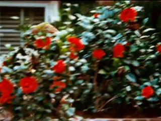 LOVELY BONES - Bande-annonce VO