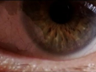 AMER - Bande-annonce VF