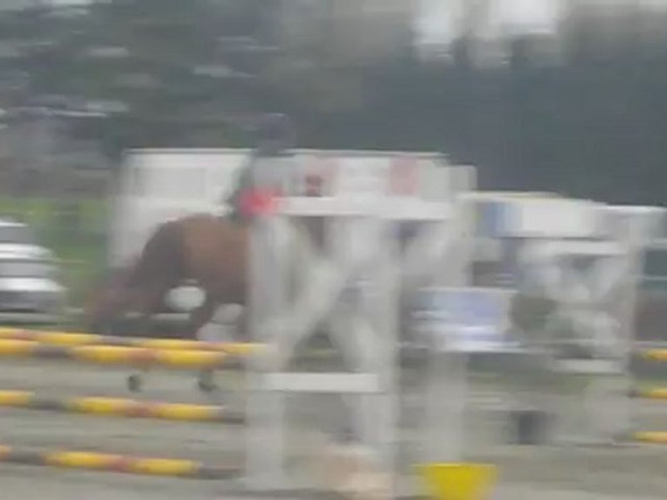 Pauline et Lutèce du Breil, club 2 (4pts)