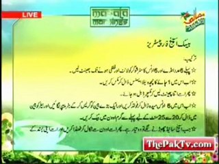 Masala Mornings with Shireen Anwar - 10th April 2012 - Part 3