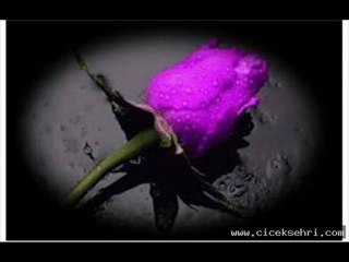 ENGİNDE YAVAŞ YAVAŞ