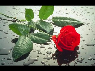 ESENGÜL -ÇOK GEÇ OLMADAN