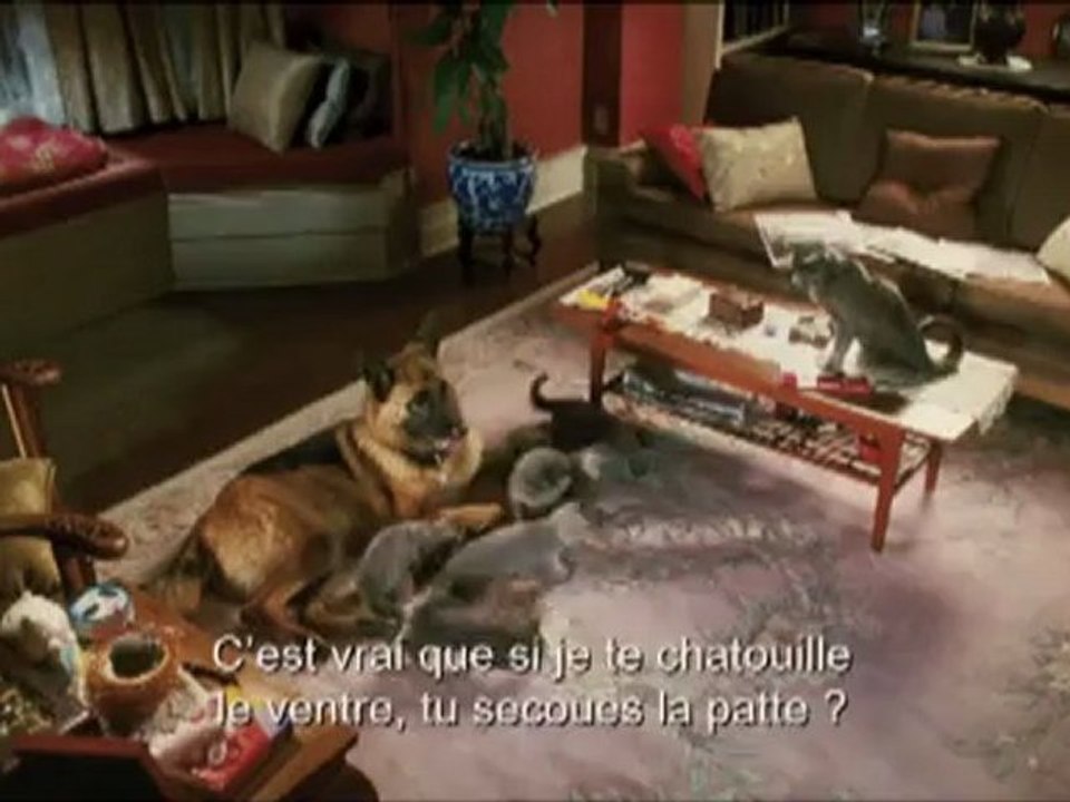 COMME CHIENS ET CHATS EN 3D - LA REVANCHE DE KITTY GALORE - Bande-annonce VO