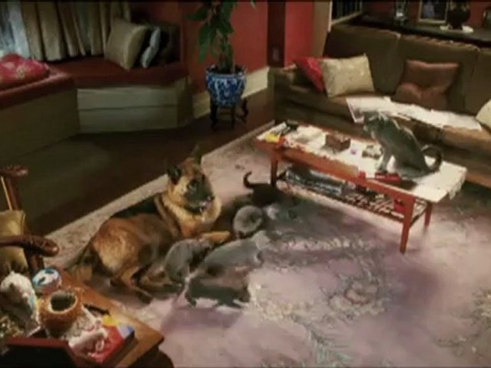 COMME CHIENS ET CHATS EN 3D - LA REVANCHE DE KI...