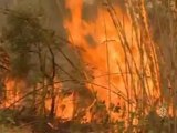 إعلان حالة الطوارئ في اليونان بسبب حرائق الغابات