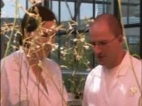 عن كثب- مختبر سيرن، الطاقة الشمسية، تخاطب النبات