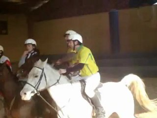 Horse-ball MDC