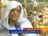 إتلاف أكثر من 250 ألف فدان من الأراضي الزراعية في السودان