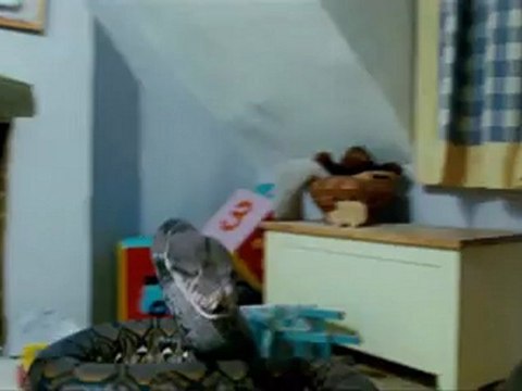 HARRY POTTER ET LES RELIQUES DE LA MORT - 1 ERE PARTIE - Bande-annonce VF