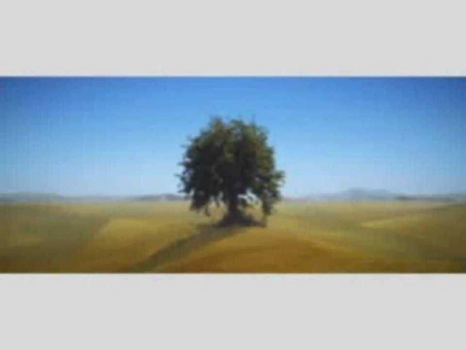 الجزيرة إستمرار الطبيعة حياة