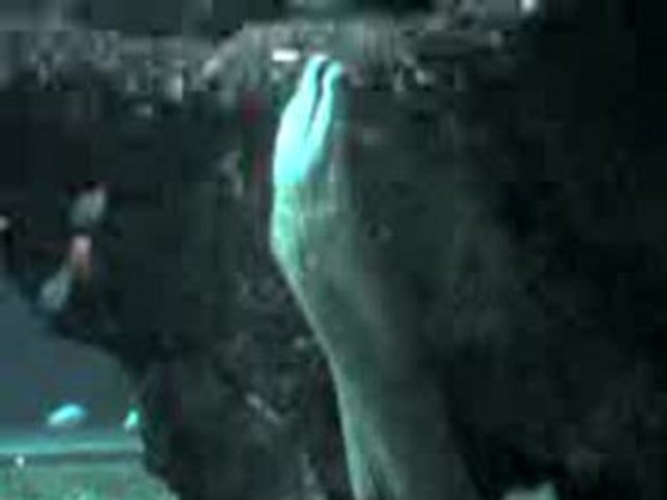 Vidéo 0022