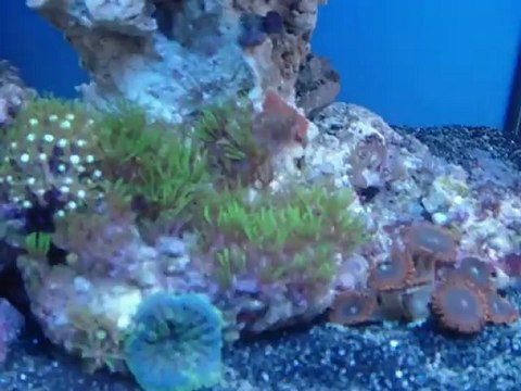 8-я МЕЖДУНАРОДНАЯ СПЕЦИАЛИЗИРОВАННАЯ ВЫСТАВКА ВетЭкспо-2012