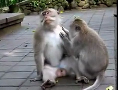 о. Бали (Индонезия)