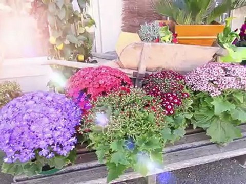 Au plaisir d’offrir, Fleuriste, Cours d’art floral à Civray (86), Vienne en Poitou-Charentes