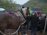 F. Hollande aux jardins familiaux de Besançon