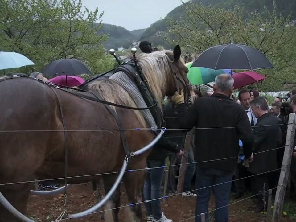 F. Hollande aux jardins familiaux de Besançon
