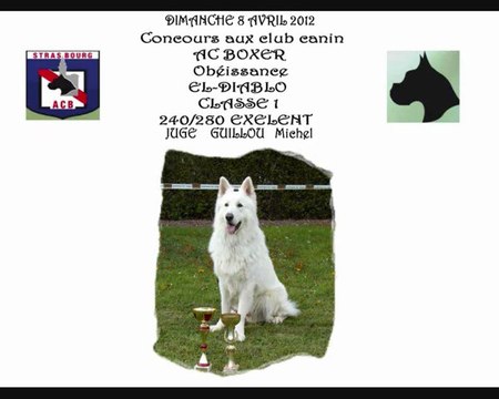 Concours obeissance 8.04.2012 AC BOXER CLASSE 1