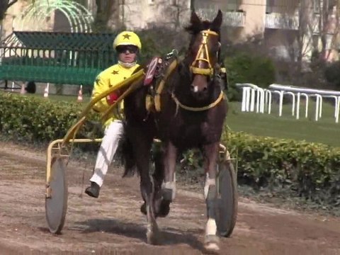 Trot attelé à Bordeaux