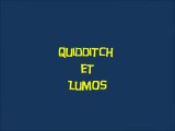 Harry Potter a l'ecole des sorciers (05)  Quidditch et Lumos