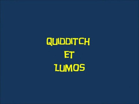 Harry Potter a l'ecole des sorciers (05) Quidditch et Lumos
