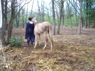 poulain-10-04-2012 012