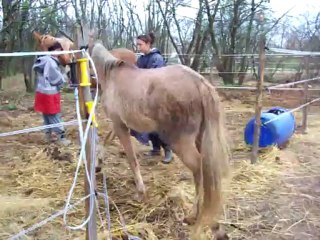 poulain2-10-04-2012 013