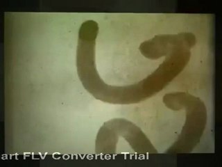 Website Automation Wizard Review - GET DISCOUNT