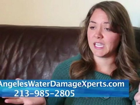 Great testimonial for los angeles water damage xperts 213-985-2805