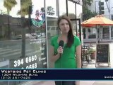 Westside Pet Clinic - Santa Monica Pet Hospital