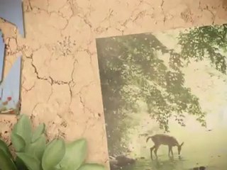 5 Simples remedios para eliminar la celulitis