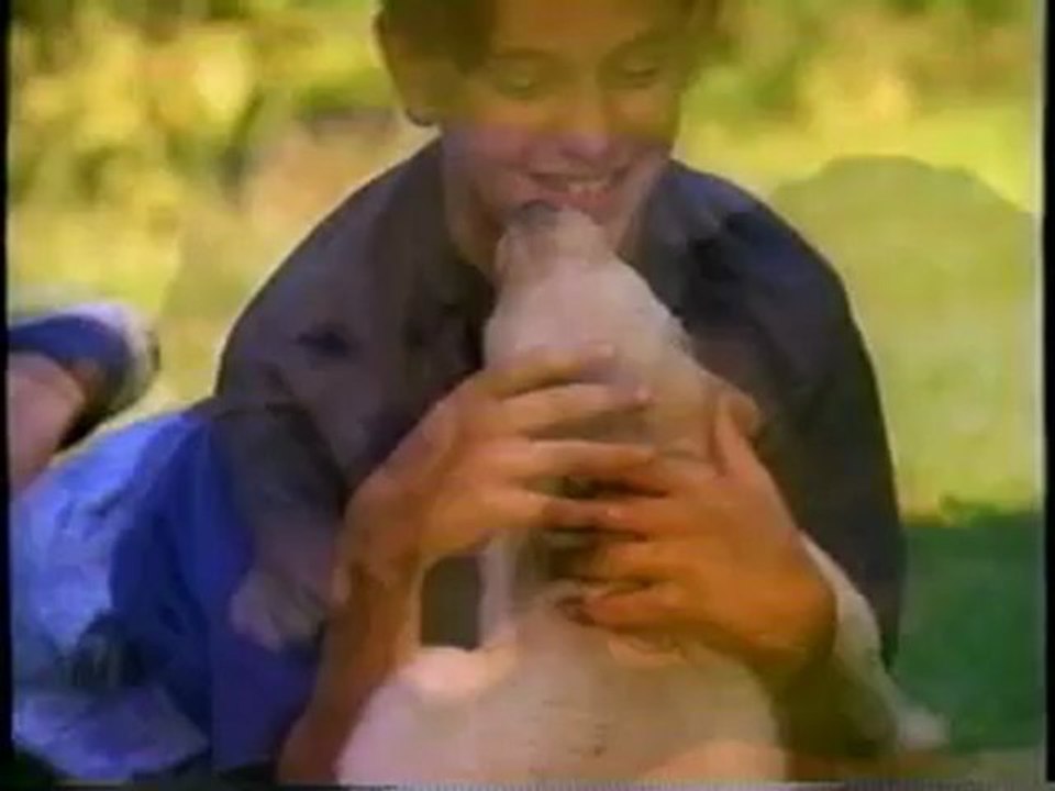 Opening To Shiloh 1997 VHS