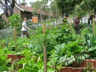 RESTER LIBRE 10 - Permaculture
