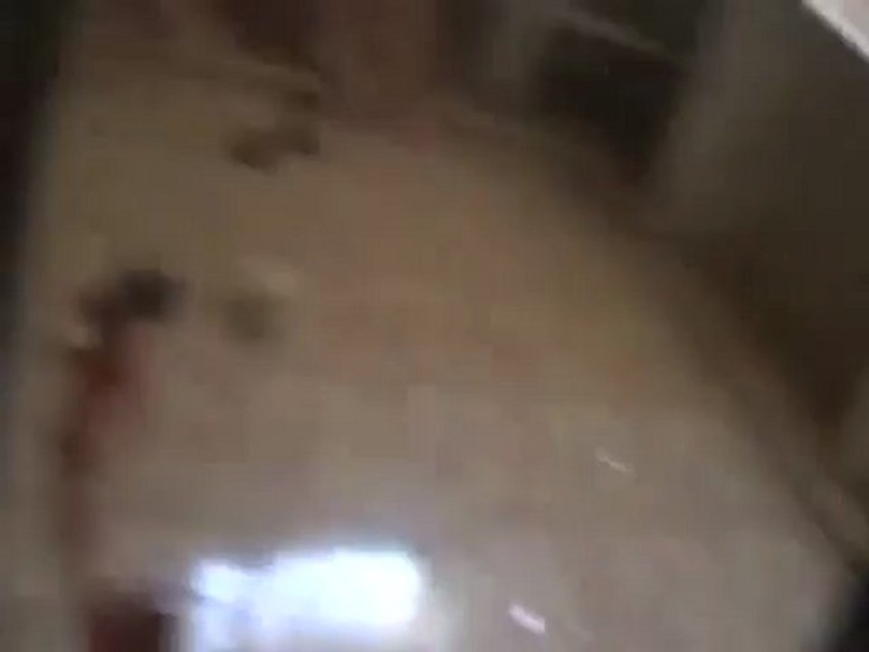 فري برس  حلب مارع الدمار الذي خلفه القصف الاسدي الهمجي 10 4  2012 ج10