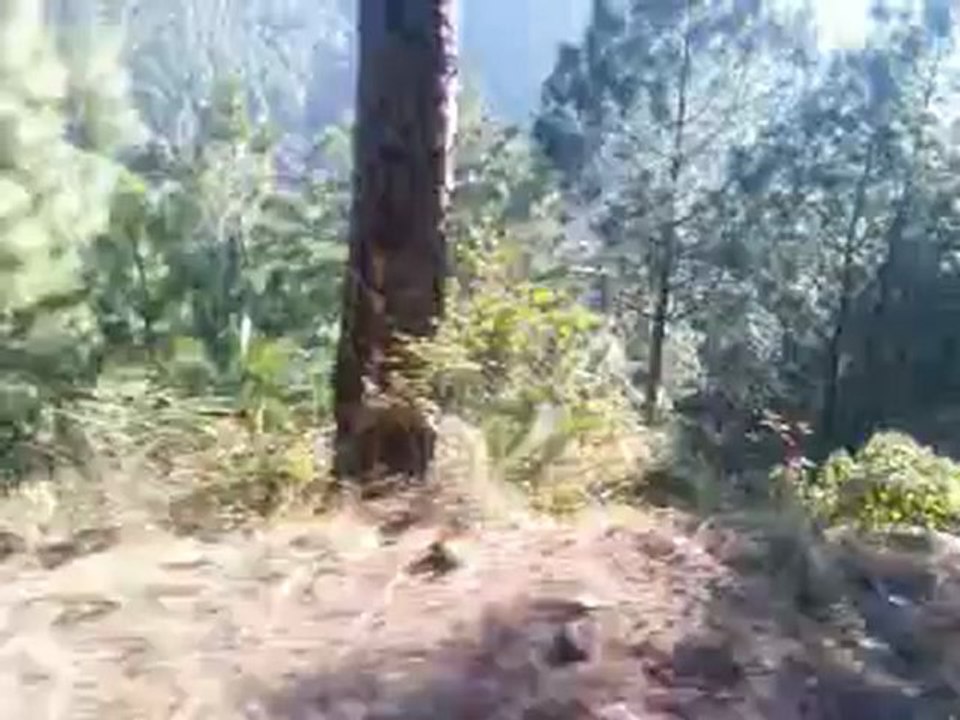 Video0000