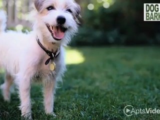 Reserve at Dawson's Creek, The Apartments in Fort ...