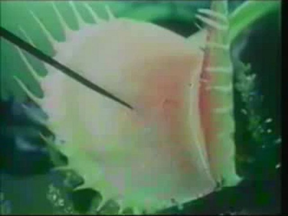 Yaratılış Gerçeği