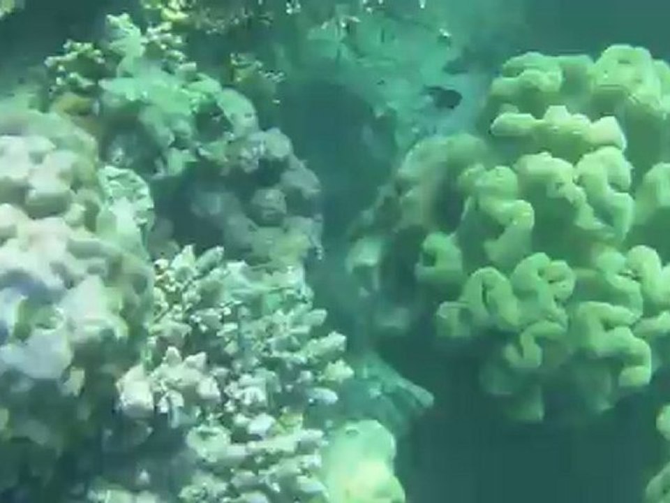 Sous l'eau avec Erwan