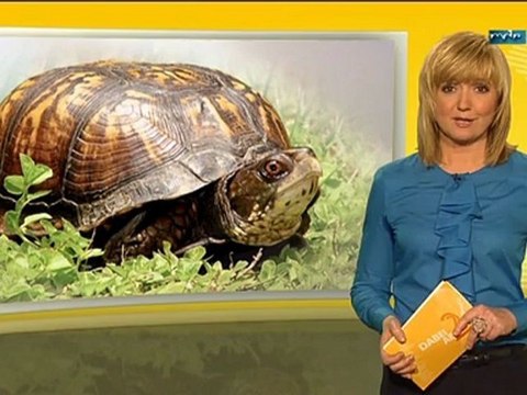 Anja Koebel 10.04.2012