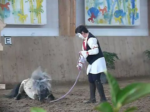 Conty : les poétiques Jeudis du parc