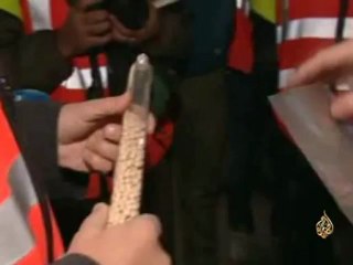 أكبر مصرف لتخزين البذور في النرويج