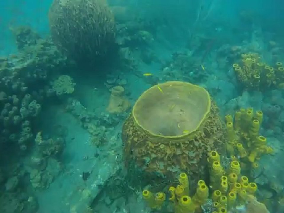 Martinique 2012